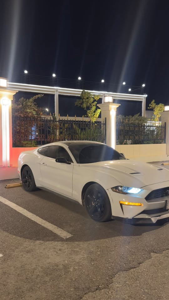 موستنق ايكوبوست ٢٢ للبيع
موستنق ايكو موديل ٢٢  بلاك ادشن 
الممشى ٨٨ الف كيلو
السياره ستوك 
 تبديلات الزيت بوقتها وادامة بوقتها هيدروليك قير وسائل بريك ودسكات وبنزين محسن 
السياره فقط تحتاج تكحيل للدعامية الامامية للي يعجبه ومبينه الدعامية بالصور وصبغ البنيد شوي مصفر غيرها ماتحتاج شي 
رقم اربيل باسمي وباج تظليل ٨٠ ينتهي شهر ٥ السنة الجاية 

حادث السياره جدا خفيف جاملغ سايق وربع البنيد صبغ بدون شواصي بدون دواخل شرط

رقم الشاصي : 1FA6P8TH1N5111291

سعر السياره 190 ورقه قابل للتفاوض بشي بسيط 

للتواصل واتس  *********** 

انبار - بغداد
