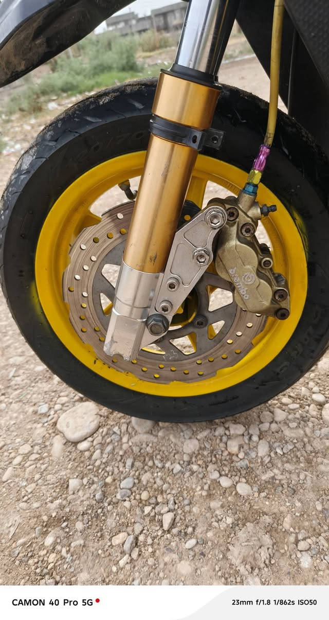 سكنس جبلي • كهربائيات • دبلات