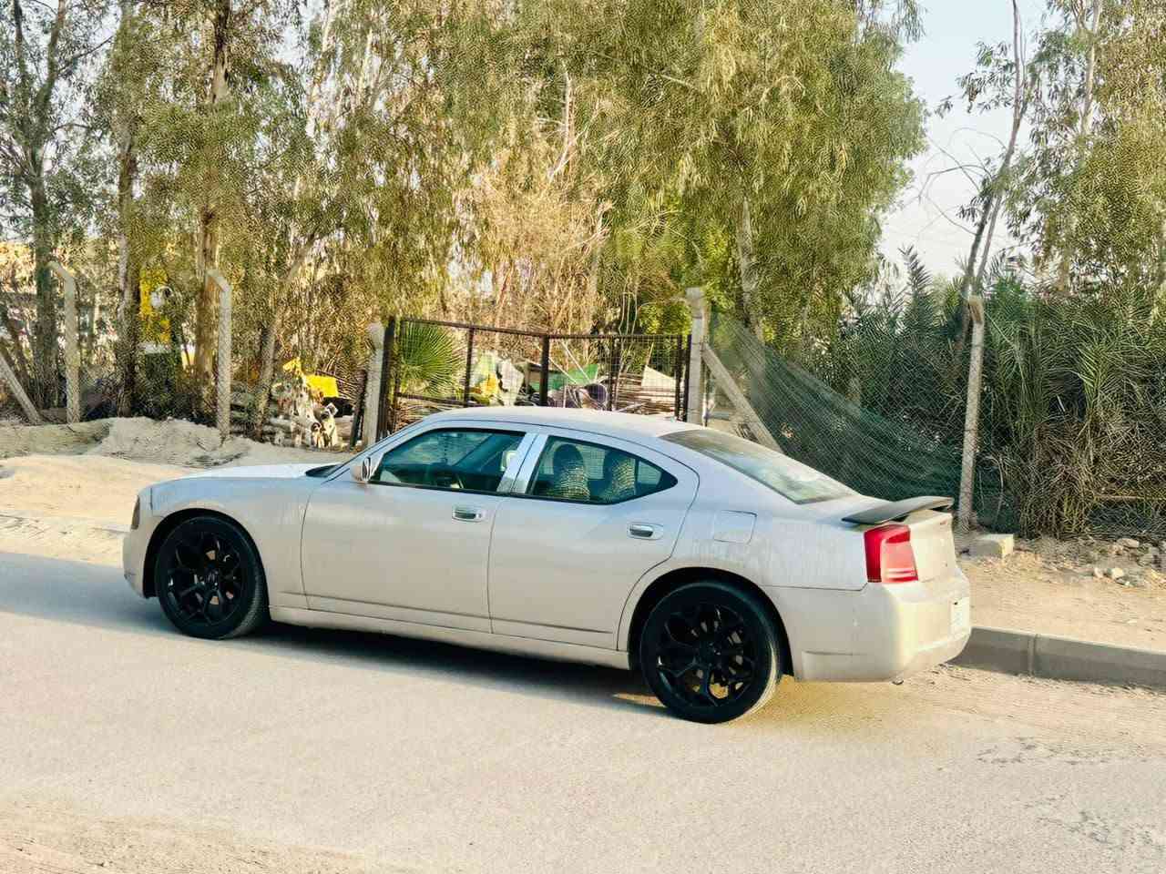لا توجد تفاصيل
