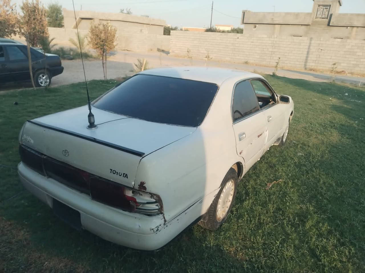 بطه • تفليش • مكلف
