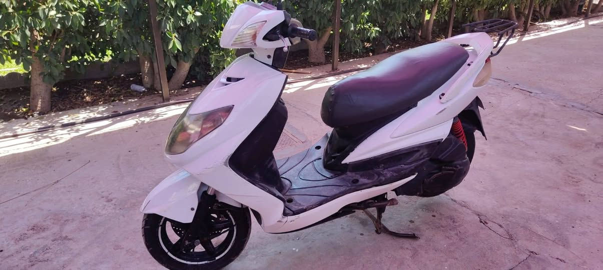 السلام عليكم سكنس فحل البيع شباب الدراجه
نضيفه تخبل معدل شلعه حلوه السعر550وبيه مجال العنوان الكريعات قرب جامع ابي تراب الاستفسار الرقم***********1
