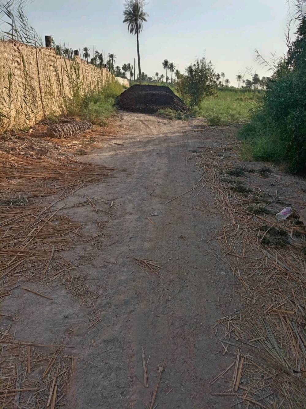 🌿 دونم زراعي للبيع  🌿

فرصة مميزة لامتلاك دونم زراعي بسند 25، مع تحويل رسمي مباشر باسم المشتري.

📍 الموقع:
طويريج – الرشيدة، قرب سيطرة 19 على طريق محمد العابد، ويبعد أقل من 300 متر عن الشارع المبلط.

✅ جميع الخدمات متوفرة.
✅ موقع مناسب للسكن أو الاستثمار.

📞 للتواصل:
اتصال أو واتساب: ***********