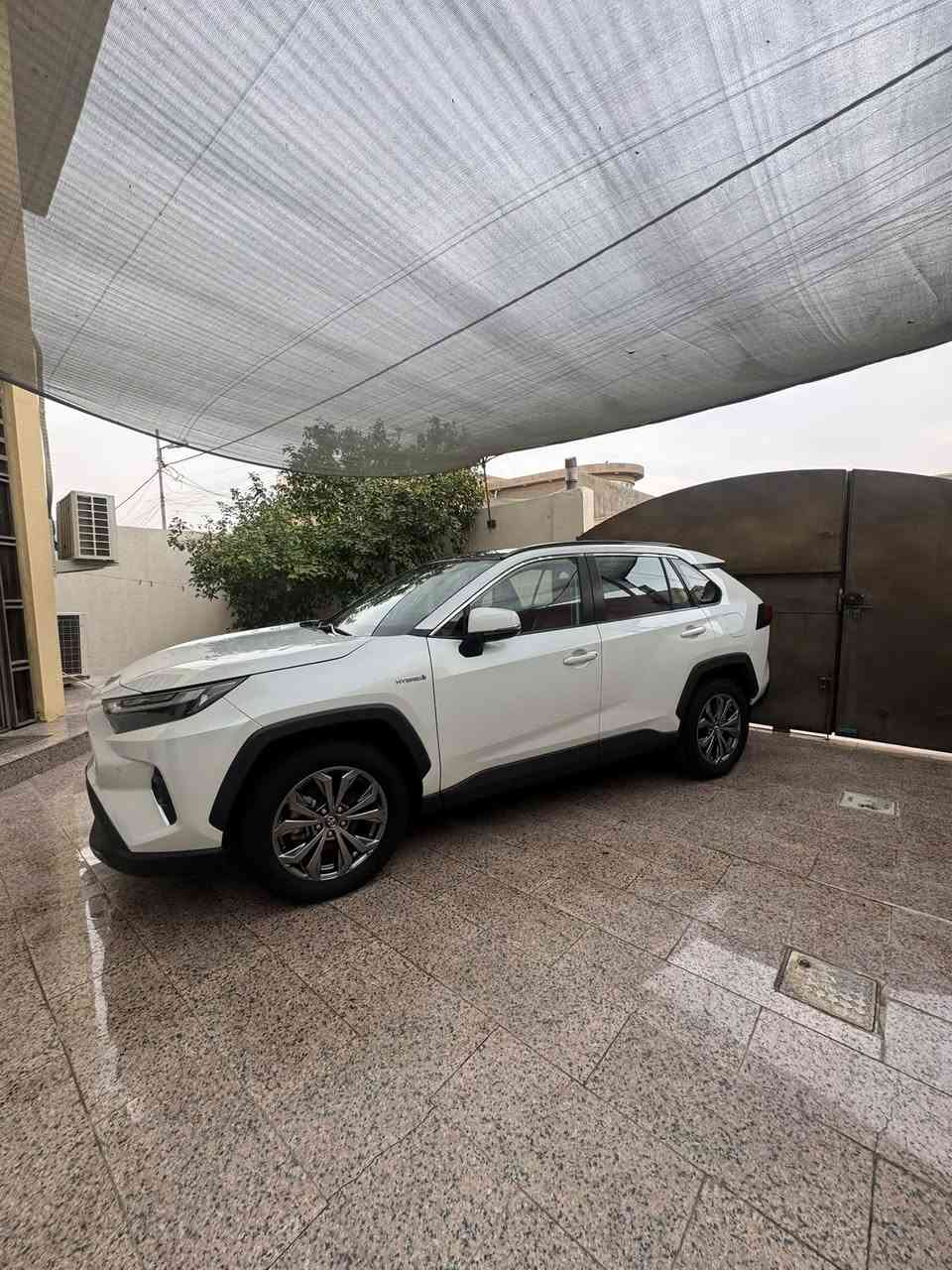 راف فور هايبرد • ٢٠٢٤ • رقم بغداد