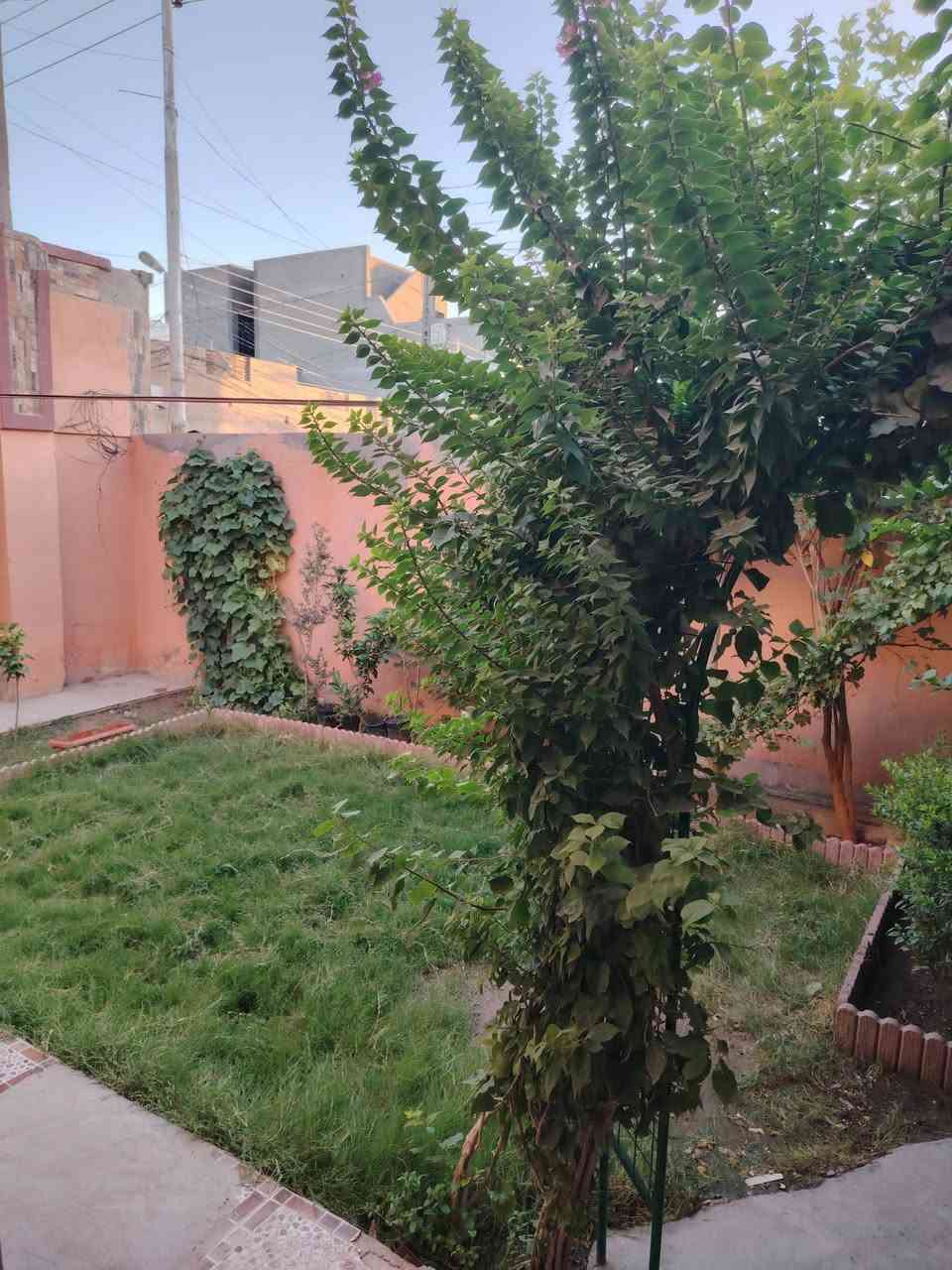 بيت للبيع المساحة ٢٥٠ متر في الشهداء قرب جامع الأنبياء ونافذ على مدرسة الشجرة الطيبة ومتوسطة المفاخر طابق واحد ثلاث غرف نوم وصالة ومطبخ واستقبال وصحيات عدد ٢ وكراج وسقيفة وحديقة ومنور وحولي شارع ٨ متر تبليط باسم شخص واحد وبي اجازة بناء السعر ١٦٠ قابل للتفاوض
مكتب الأصدقاء للعقار
***********

نص مكتوب في الصور:
- دار للبيع
