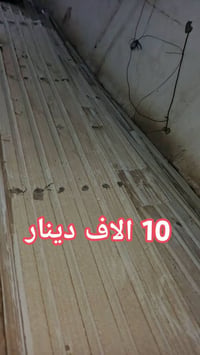 چينكو • نظيف • ٦ امتار