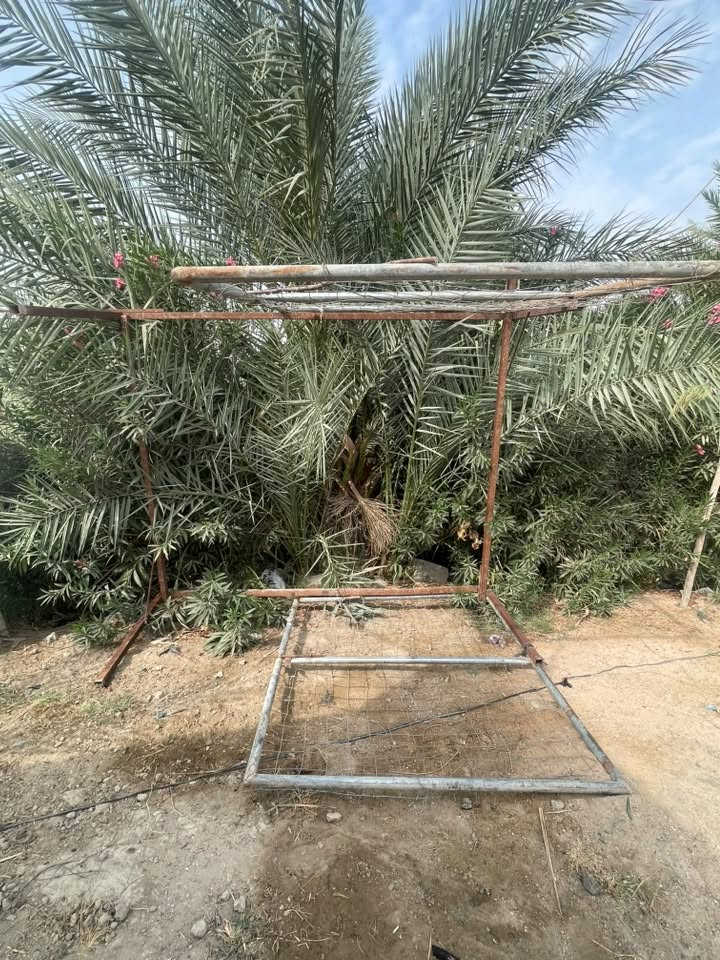 للبيع • ديكور منزلي