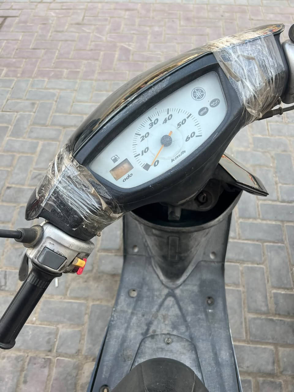 عصفوري • بغداد • الدورة