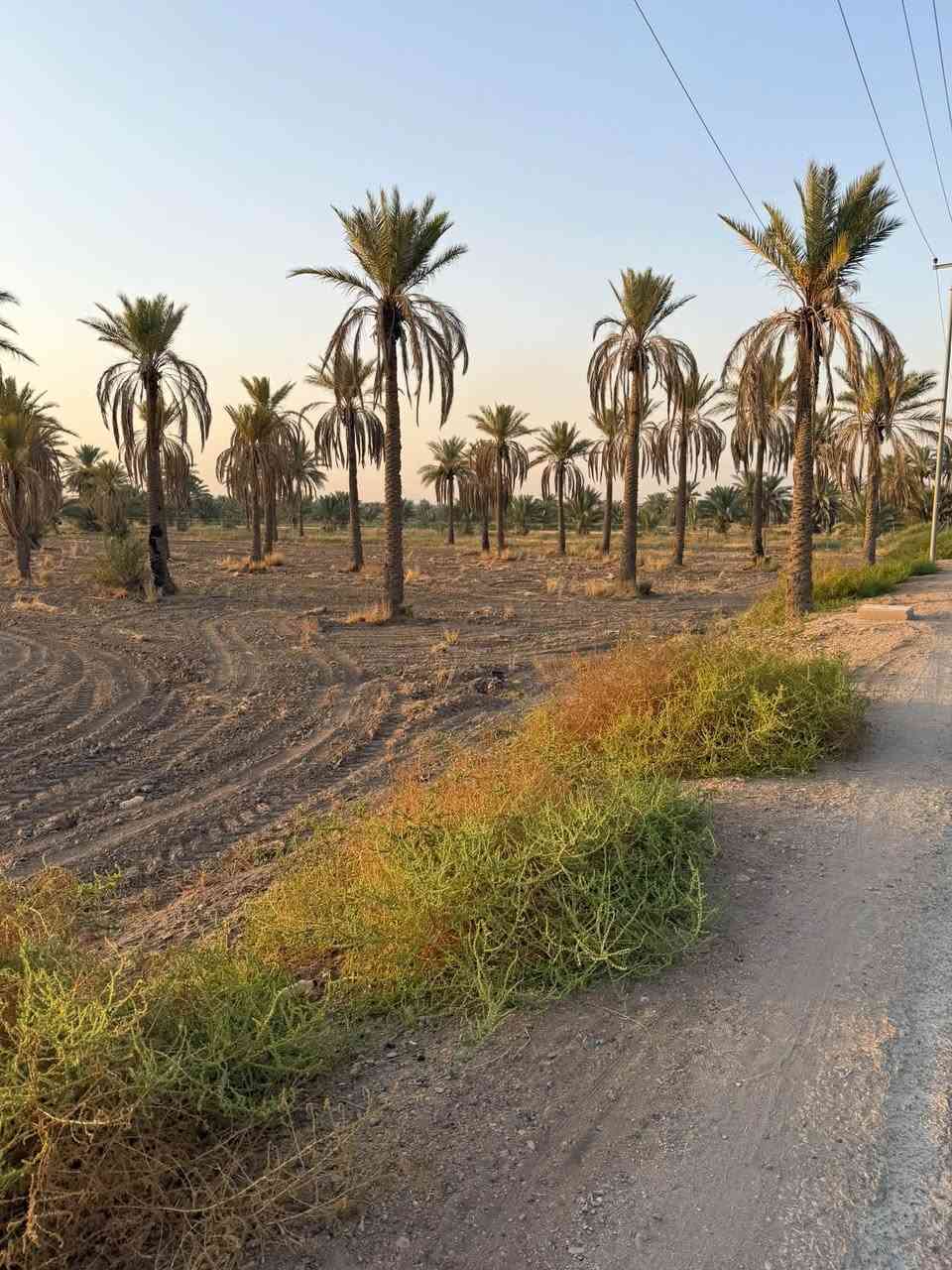 أرض زراعيه في منطقة الرغيلة على التبليط مباشرتاً تبعد عن الشارع العام حله كربلاء 1 كيلو متر مساحتها 15 دونم مسيجه وجاهزه بالكامل

للأستفسار الإتصال على : ***********-‭ ***********
