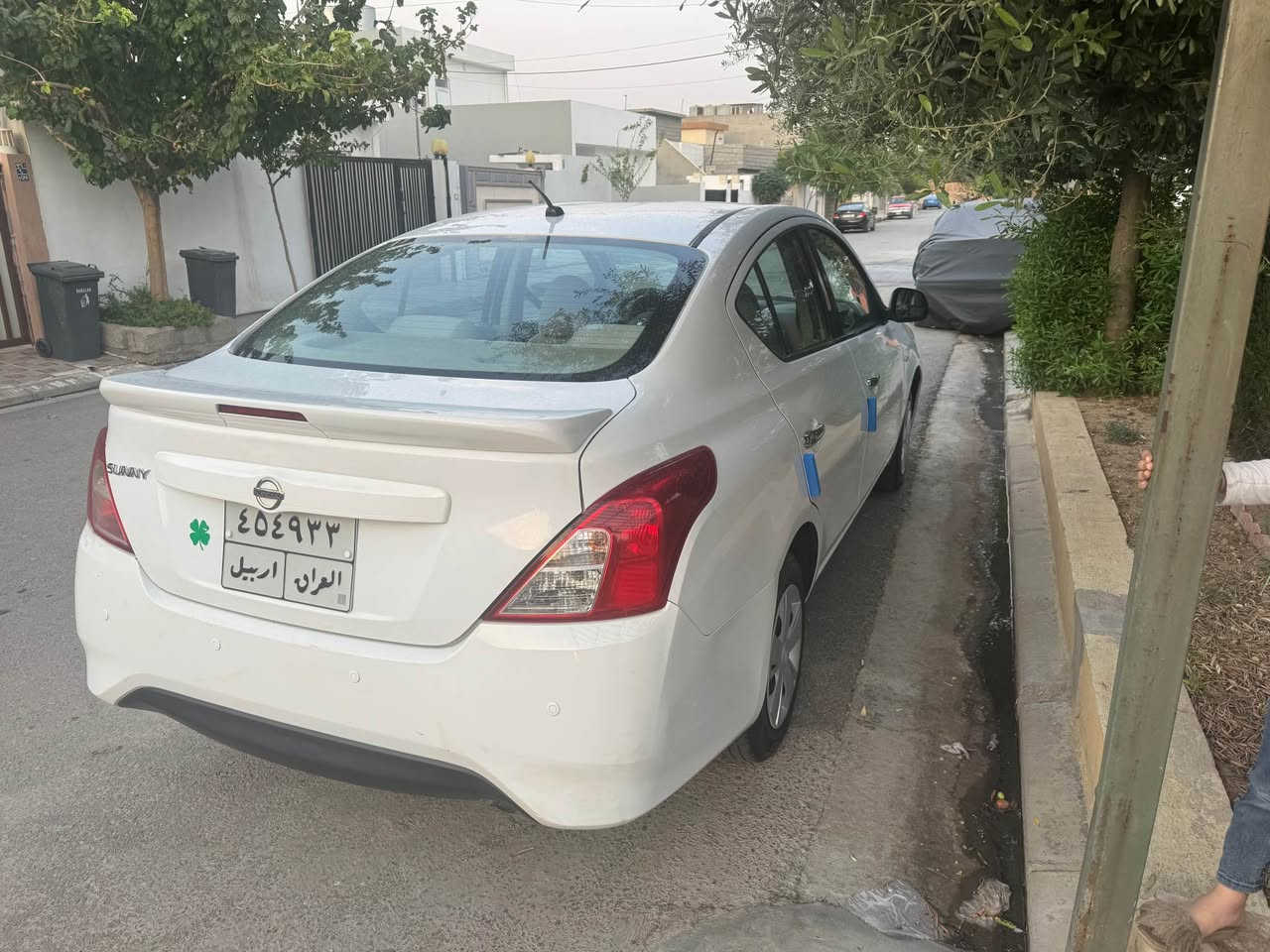 صني ٢٠١٩ • بدون صبغ • فحص وهزة