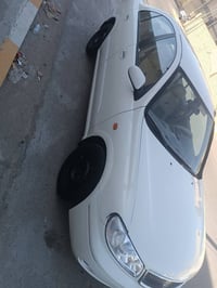 صني • ٢٠٠٨ • الفلوجه