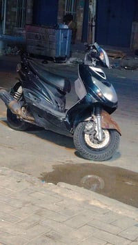 سكنس فحل • مستعجل • مكفول كفاله