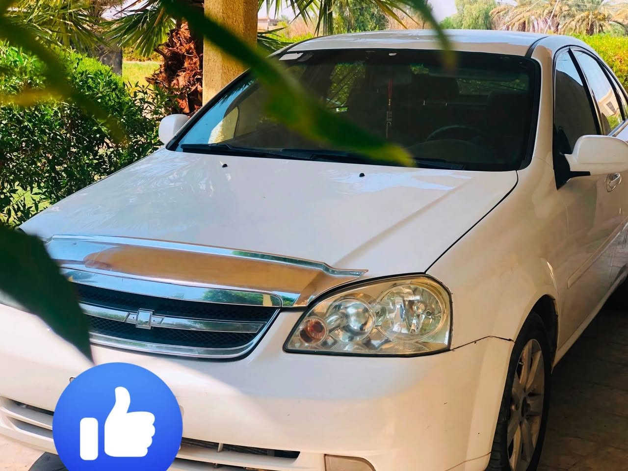 اوبترا موديل ٢٠١١ جاهزة محرك كير تبريد صدر جاهزه السياره من كلشي رقم بغداد دولي بيها قطعتين صبغ جمالغ الخلفي وقبق جنطه تصليح بسيط.  بل  شاصي الخلفي سعرها ٦٥ وبيها مجال بسيط مكان بغداد ابو غريب *********** تحويل مباشر سونار مرافق بل منشور
