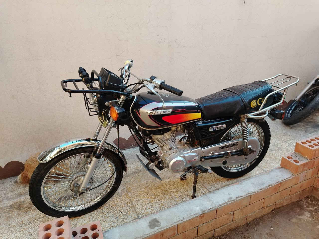 سيفان • ٤ كير • ٢٠٢٣
