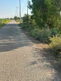 للبيع ٤ دوانم طابو ملك صرف واجهيه ٥٠ونزال٢٠٠ ارض صالحه للزراعه متوفر ف...