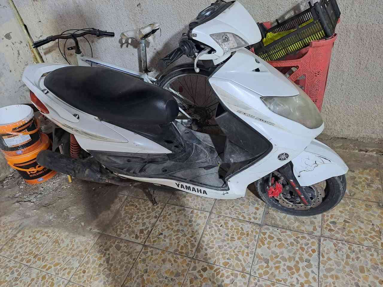 سكنس فحل • كابريتر • ترتيب