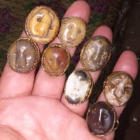 شلعة • وحدة