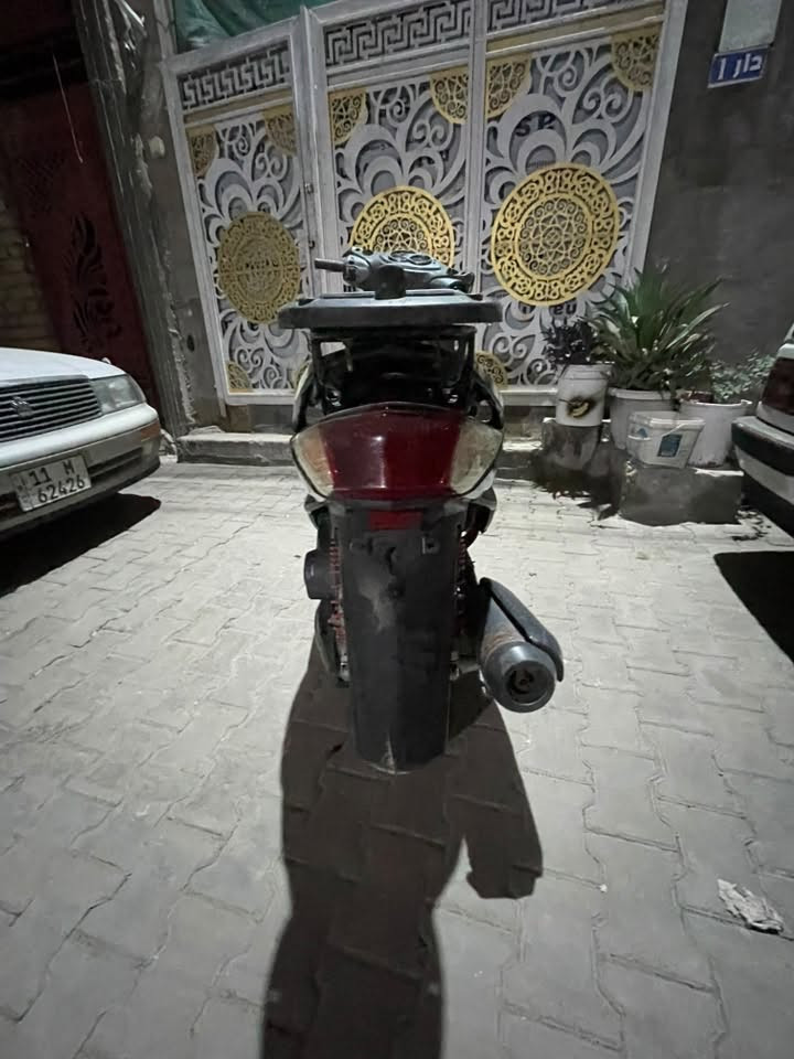 سكنس فحل • ياباني • يحتاج زنجيل