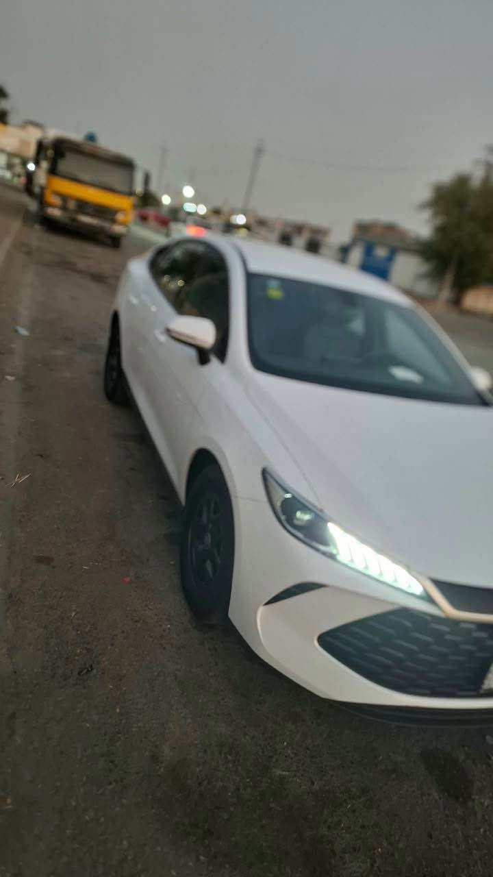 بايد قين بلس • ٢٠٢٥ • السليمانية