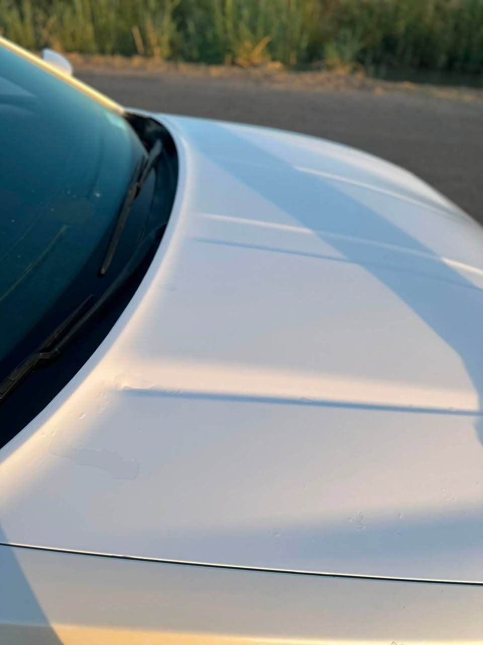 🚗 للبيع دودج جارجر 🚗

السيارة بحالة ممتازة، استخدام شخصي ونظيفة جداً، لا تحتاج أي مصروف.

الموديل: (2015)

الفئة: (SXT  )

المحرك: (3.6 )

رقم بغداد 

اللون: (ابيض )

وارد: (أمريكي )

بيها بارد شي قليل 

الكير والمكينة: فول، بدون أي ملاحظات.

التبريد ممتاز وجميع الأمور شغالة 100%.

*ملاحضه يوجد تقشير صبغ في البنيد شي بسيط اثر الغسل مغلف فابلون 

السعر: (185) قابل للتفاوض بالمعقول بعد المعاينة.

للاستفسار   الاتصال.***********_ *********** 

العنوان ديالى الخالص
