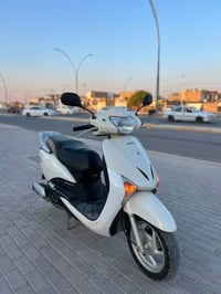 ليدي • نضافه • ابيض صدفي