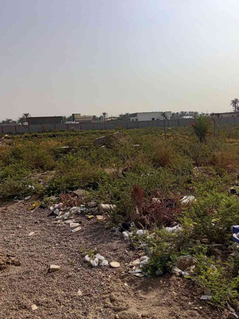 الدوره البعيثه • ٦٥٠م • واجهة ١٣نص