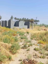 دونم • هيكل • البعامر