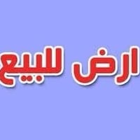 أم الخيل الأولى • ٢٠٠م • سند منفصل