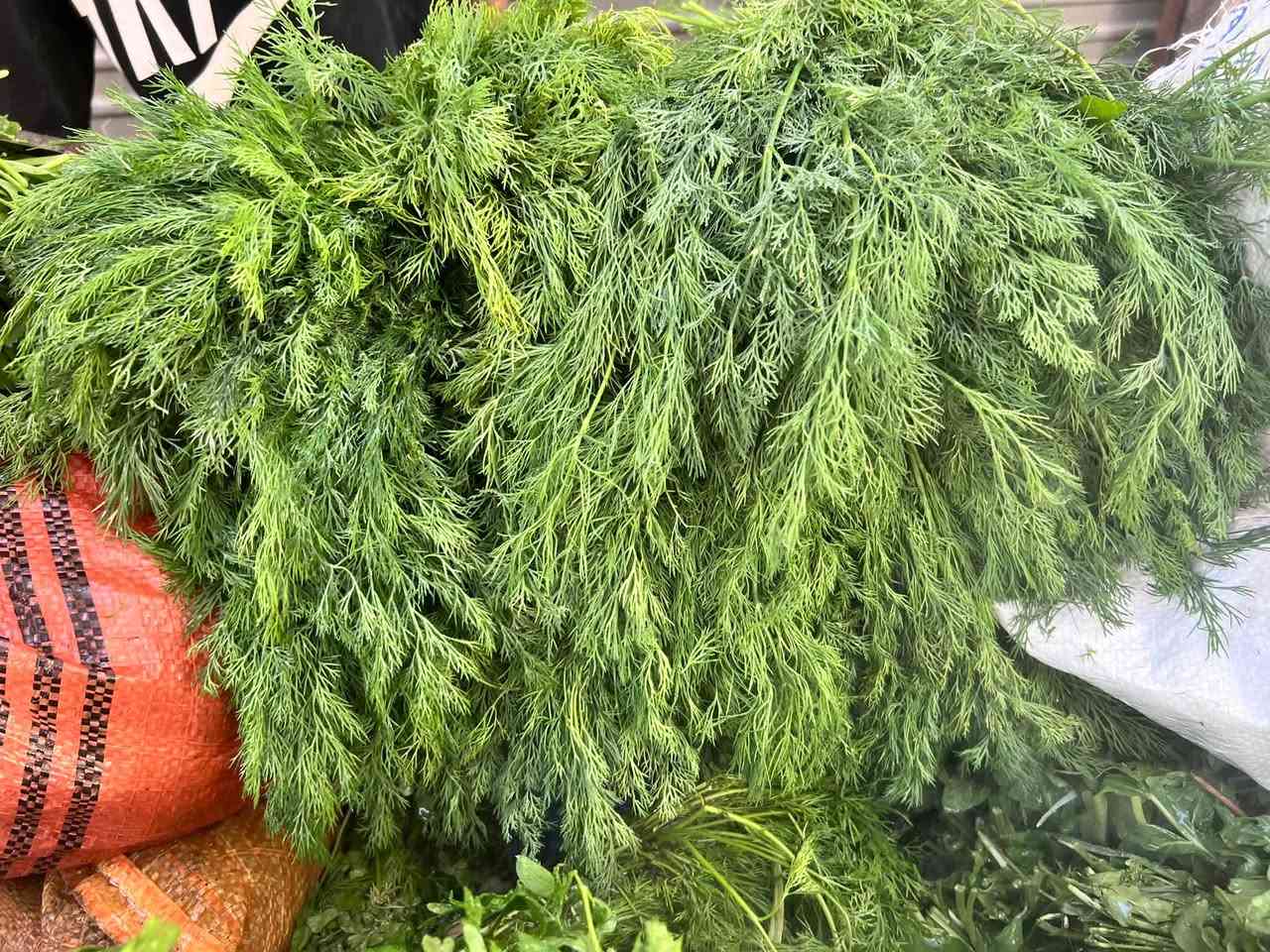 خضرة • مرتبة ١٠