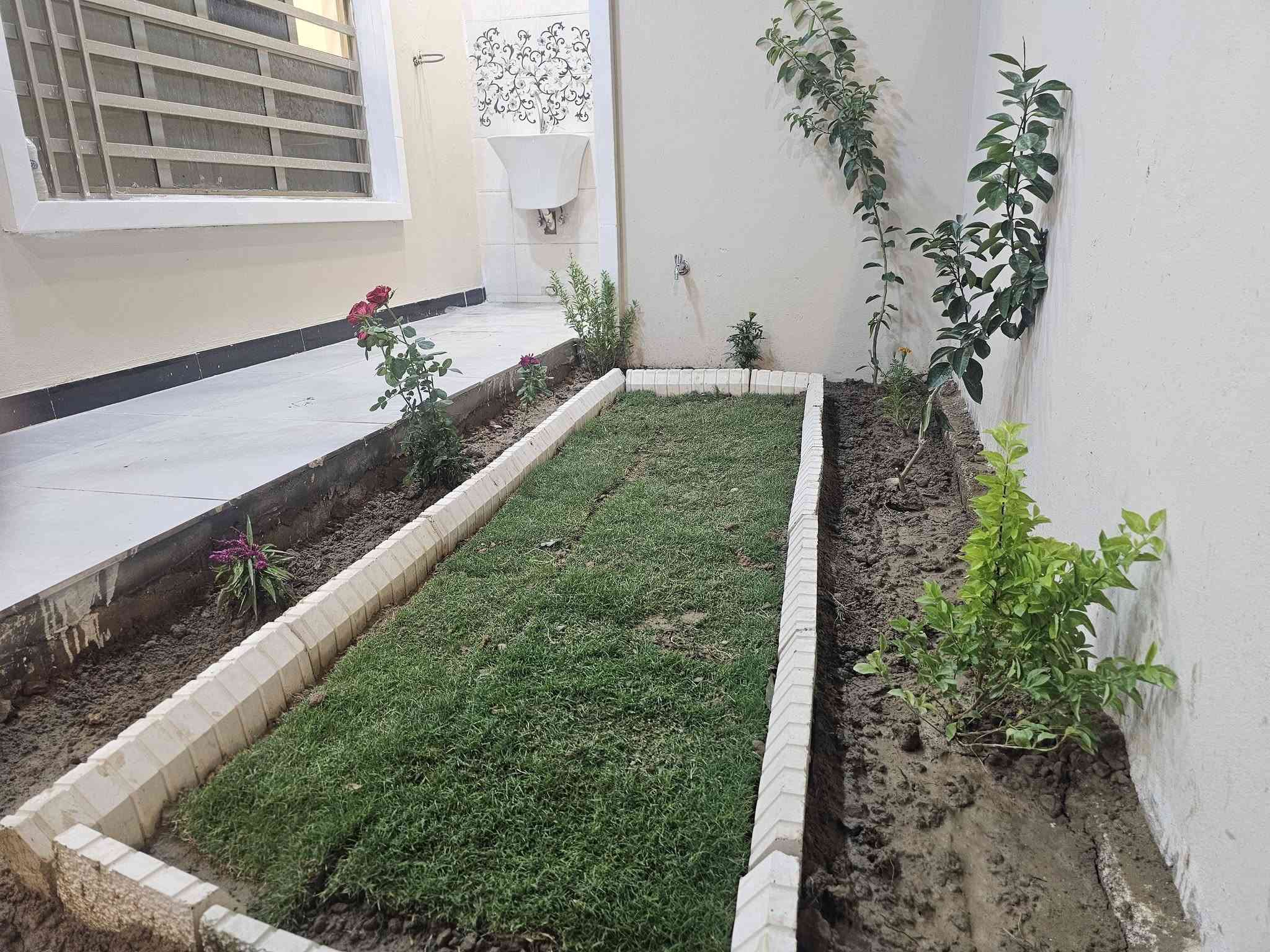 الكوت الجديده • ٢٠٠م • تحويل مباشر