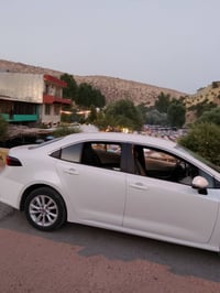 كورلا خليجية • ٢٠٢٤ • رقم سليمانية