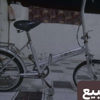 باسكل • حجم ٢٠ • واسط الحفرية