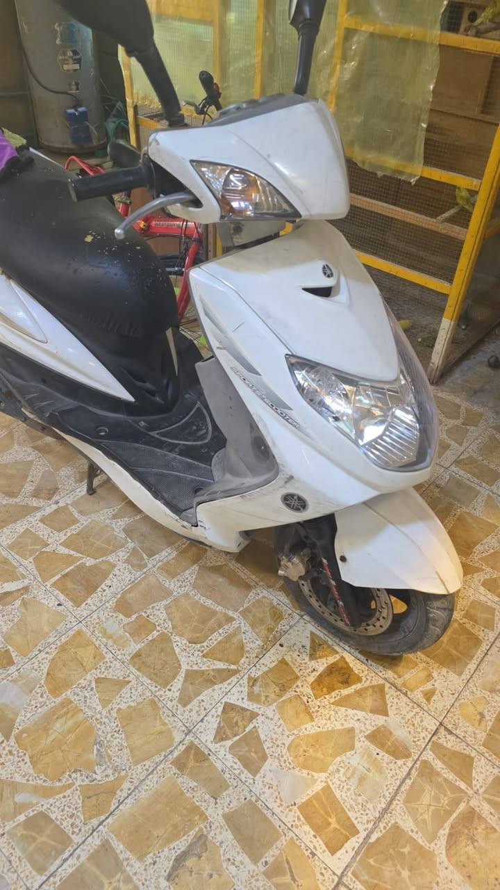 سلام عليكم دراجة سكنس فحل دراجة نضيفة كفرات بلادية مكينة بلادية مكفولة كفالة عامة مكلف بل نشر هاذ رقم صاحبهة ***********
