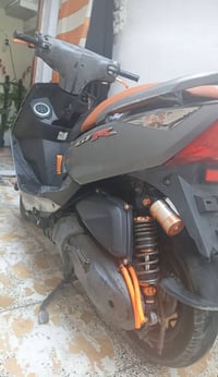 ثعلب نوزل • دبل خلفي • نضيفه