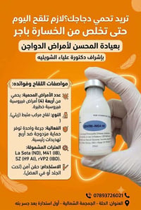 تلقيح دجاج • لقاح مركب زيتي • يحمي ٤ أمراض