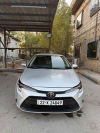 وارد امريكي • ٢٠٢٥ • رقم اربيل
