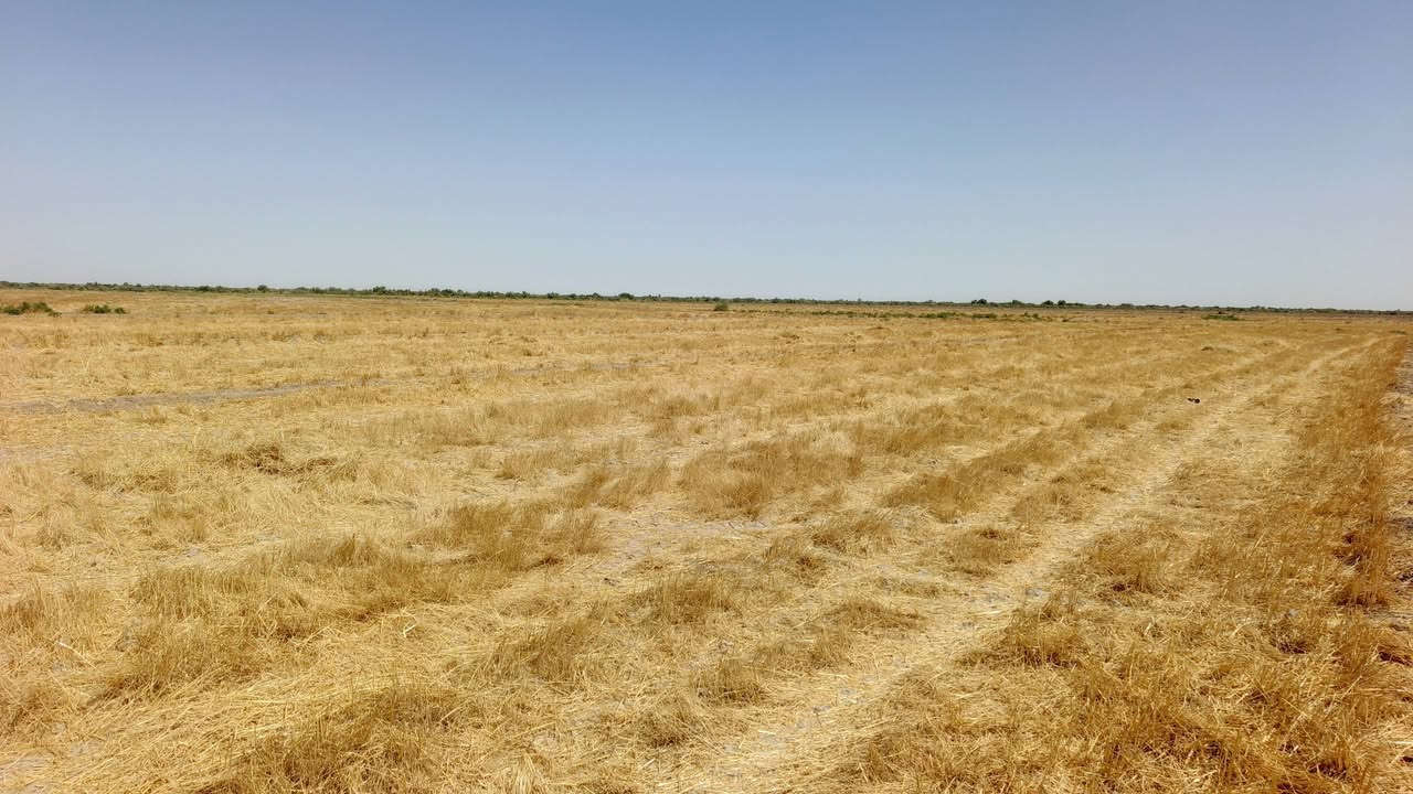 السلام عليكم جلة للبيع مساحة ٥٠٠دونم قرب سيطرة بغداد كوت خلف معامل طابوق الاستفسار ***********
