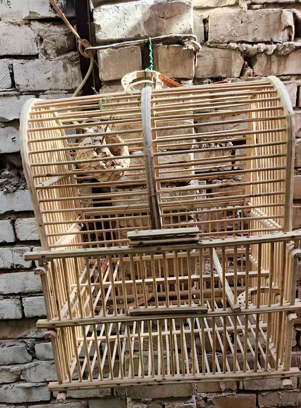 عنوان بغداد كرادة ***********/////قفصين واحد مال دجاج واحد مال بلبل اللي يفيده يخابرني واللي ما يفيده لا يخابرني رجاء السعر 35
