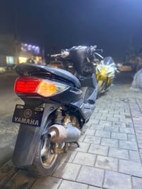 سكنس فحل • نوزل • كامله