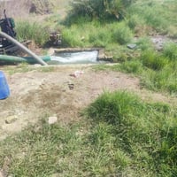 طريق حلة-نجف • ٣ دونم • نخيل مثمر