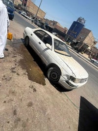بطه ٩٢ • بدون صبغ • نجف ورقي