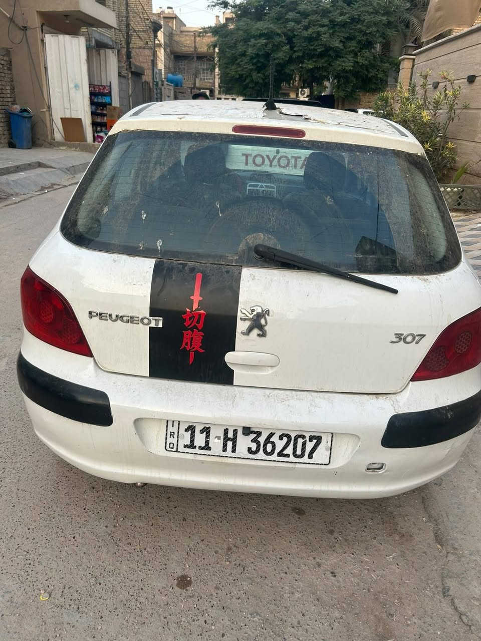 بيجو • ٢٠٠٦ • رشات صبغ