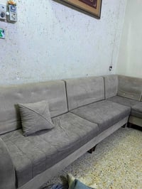 تخم • نظيف • توصيل