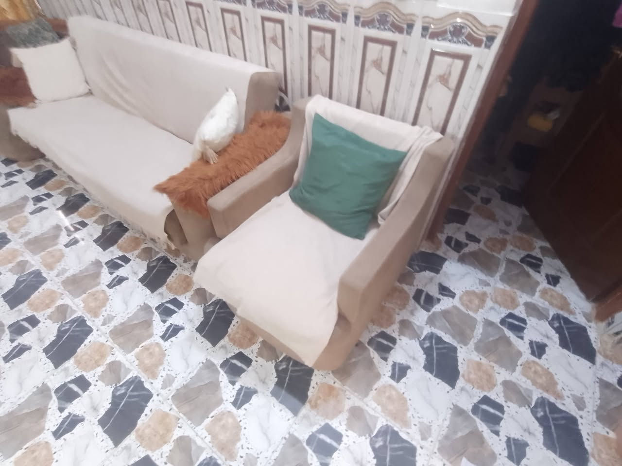 كنبة • نضيف • تخم