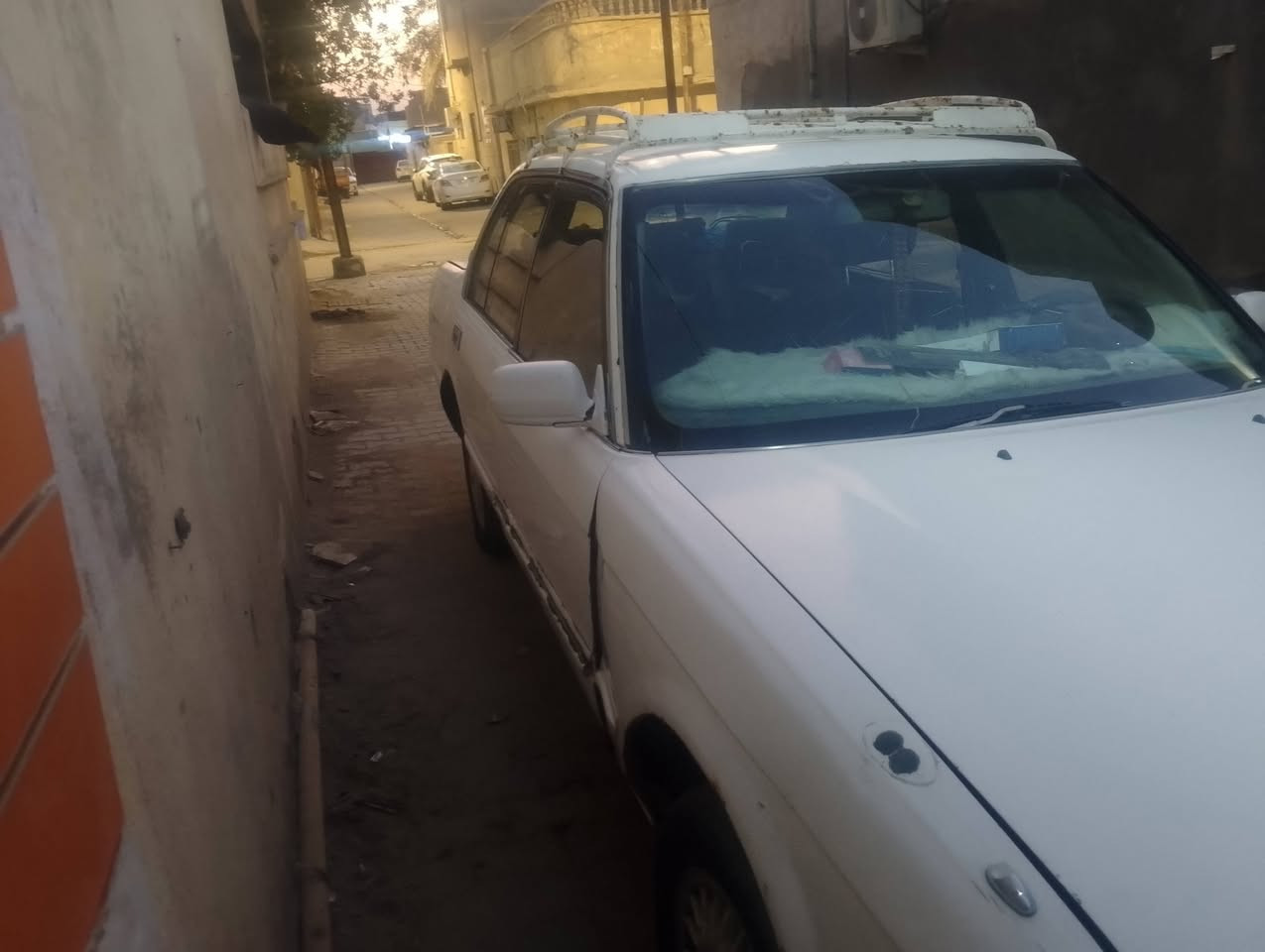 ارنب للبيع مستعجل 35ورقه يرادلها شغل للتواصل على الرقم ***********
