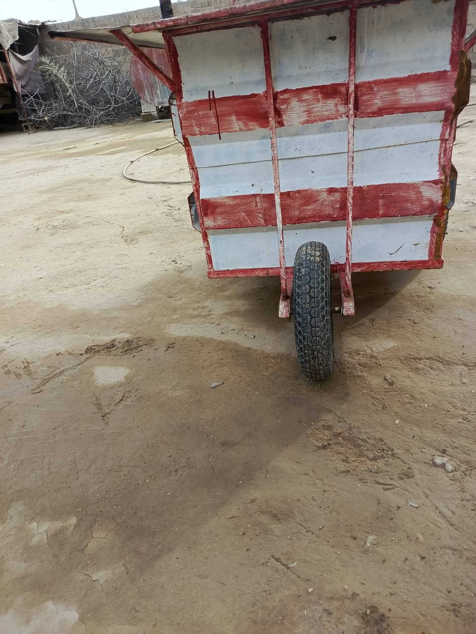 عربانة • جاهزة • تحتاج تصبغ