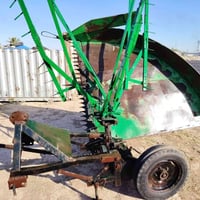سمسم • جاهز للحصاد • ديالى جباره