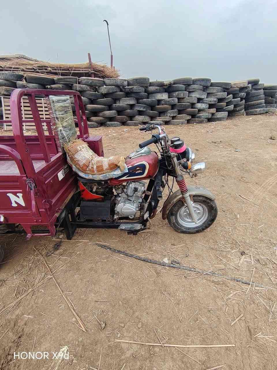 ستوته • موديل ٢١ • أصولي