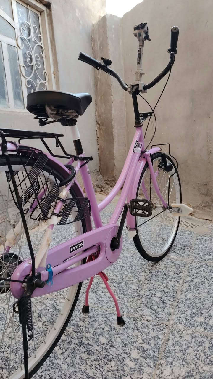 باسكل • فيديو • سعر خاص
