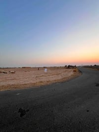قريه الاعيوج • ٤ دونم • ركن على شارعين