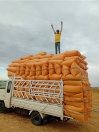تبن • كيس ٦٠ • توصيل محافظات